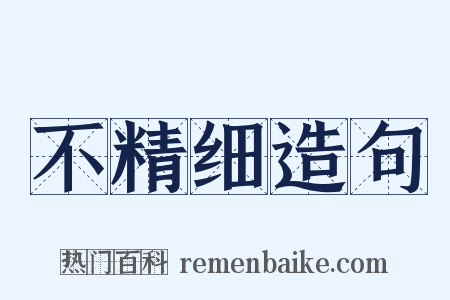 不精细造句是什么意思的图片